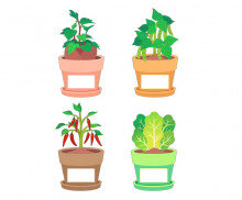 텃밭 작물 화분 이름표(상추,고구마,고추,강낭콩)