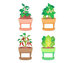 텃밭 작물 화분 이름표(상추,고구마,고추,강낭콩)