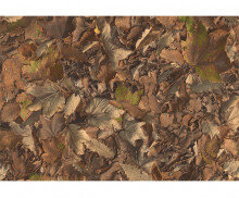 낙엽 바닥 배경