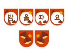 밤을 따요 가랜드