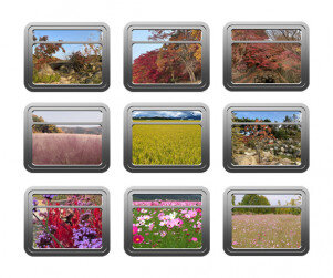 [개별도안] 가을풍경 기차 창문