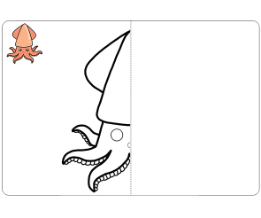 거울 대칭 그리기