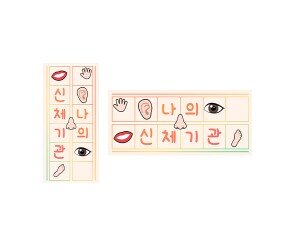 나의 신체기관 원고지 레터링