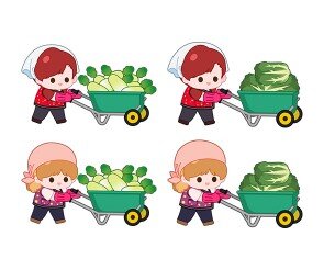 무, 배추 나르는 아이