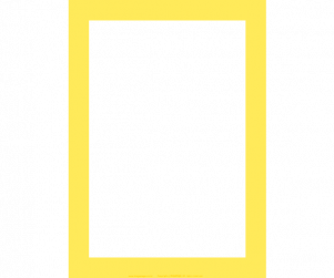 배경없는 노랑테두리