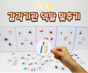 감각기관 역할 맞추기