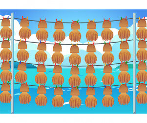 문어 덕장 배경