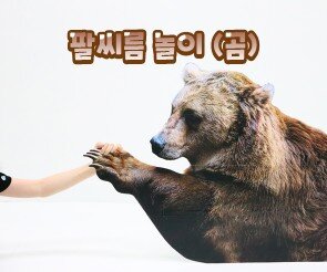팔씨름 놀이(곰)
