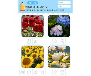 여름에 볼 수 있는 꽃