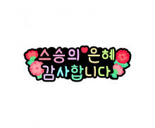 스승의 은혜 감사합니다 토퍼