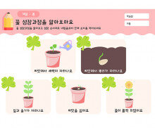 꽃 성장과정을 알아보아요