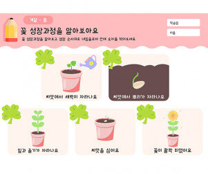 꽃 성장과정을 알아보아요
