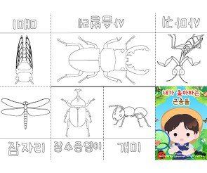 내가 좋아하는 곤충 사전
