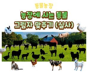 농장에 사는 동물 그림자 맞추기(실사)