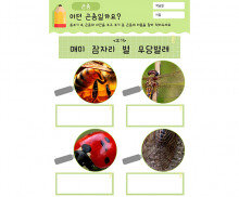 어떤 곤충일까요
