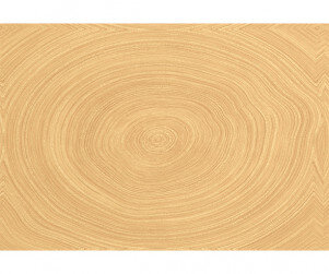 나무단면(둥근)