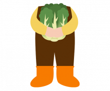 배추 뽑는 아이 합성이미지