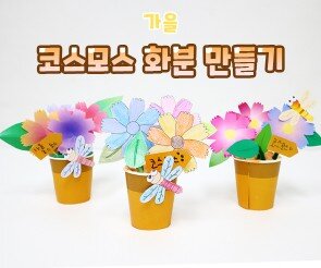 코스모스 화분 만들기