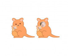 아기 캥거루와 엄마 캥거루 합성이미지