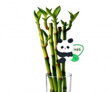 판다 화분 이름표