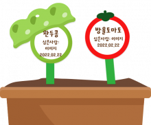 완두콩 토마토 화분 이름표