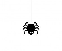 거미줄에 매달린 거미