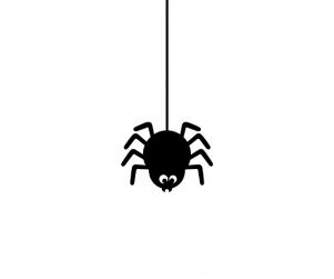 거미줄에 매달린 거미