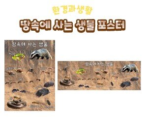 땅속에 사는 생물 포스터