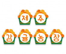 제주 감귤 농장 가랜드