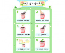 씨앗 심기 순서도 (세로)