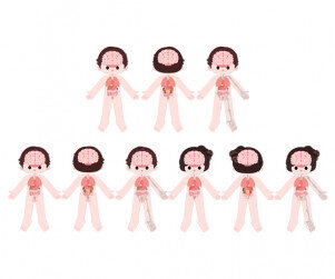 사람 몸속 기관(전신)