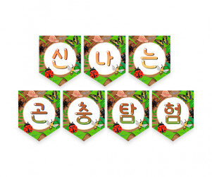 신나는 곤충탐험 가랜드