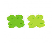 네잎클로버 