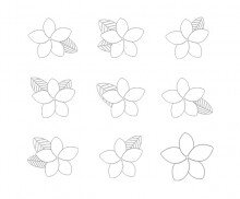 플루메리아 색칠 모음