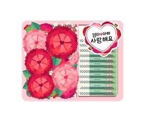 카네이션 용돈 선물