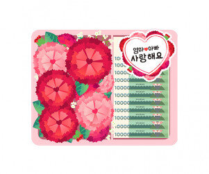 카네이션 용돈 선물