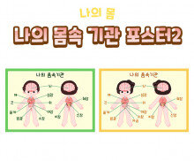 나의 몸속 기관 포스터