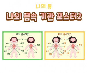 나의 몸속 기관 포스터