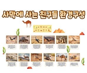 사막에 사는 친구들 환경구성