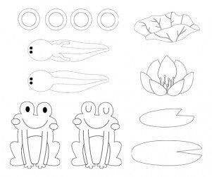 개구리,연꽃,연잎 색칠 모음