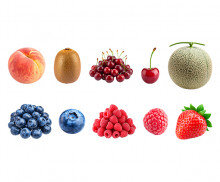 과일(블루베리,멜론,복숭아,딸기,키위,체리,산딸기)