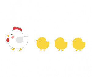 엄마 닭과 아기 병아리