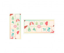 우리 몸속 기관 원고지 레터링