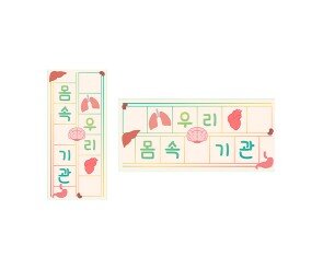 우리 몸속 기관 원고지 레터링