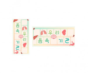 우리 몸속 기관 원고지 레터링