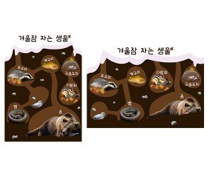 겨울잠 자는 생물