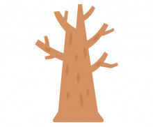 잎사귀 없는 나무