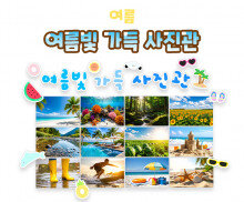 여름빛 가득 사진관