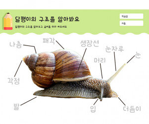 달팽이의 구조를 알아봐요