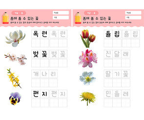 봄에 볼 수 있는 꽃